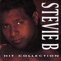 |  Vinyl LP | Steve B. - Hit Collection (2 LPs) | Records on Vinyl