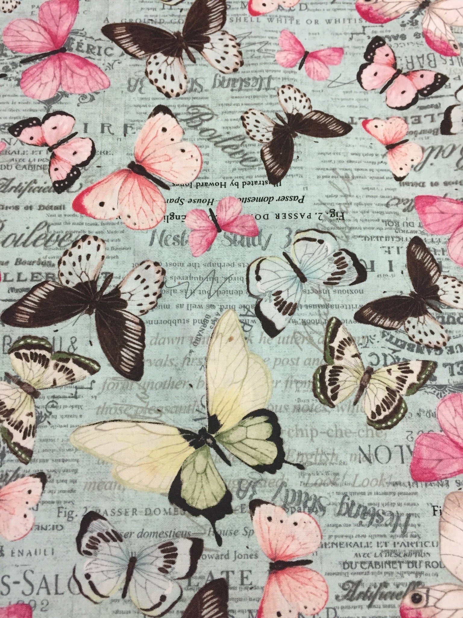 Butterflies Shabby Butterfly Fabric by the yard