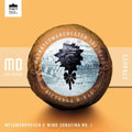 Mozarteumorchester Salzburg / Riccardo Minasi - Strauss: Metamorphosen & Wind Sonatina No. 1 (CD)