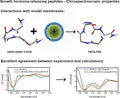 ghrp-6 vs ipamorelin gh release mechanism ghrp Growth Hormone–Releasing Peptides: Investigation of Their Secondary Structure, Thermal Stability, and Model Membrane Interactions CJC-1295 Ipamorelin vs – Ipamorelin vs GHRP-6: GH Secretagogue