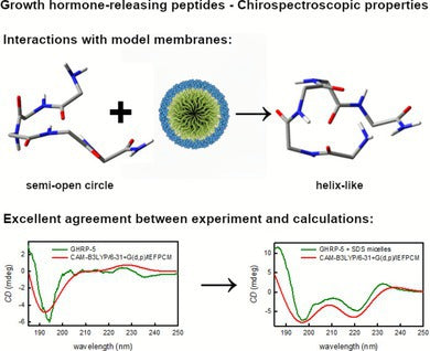 ghrp-6 vs ipamorelin gh release mechanism ghrp Growth Hormone–Releasing Peptides: Investigation of Their Secondary Structure, Thermal Stability, and Model Membrane Interactions CJC-1295 Ipamorelin vs – Ipamorelin vs GHRP-6: GH Secretagogue