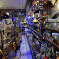 TOP 10 BEST Pokemon Card Shop in Chicago, IL - Updated 2026