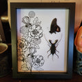 Whip Scorpion Spider and Pink Butterfly