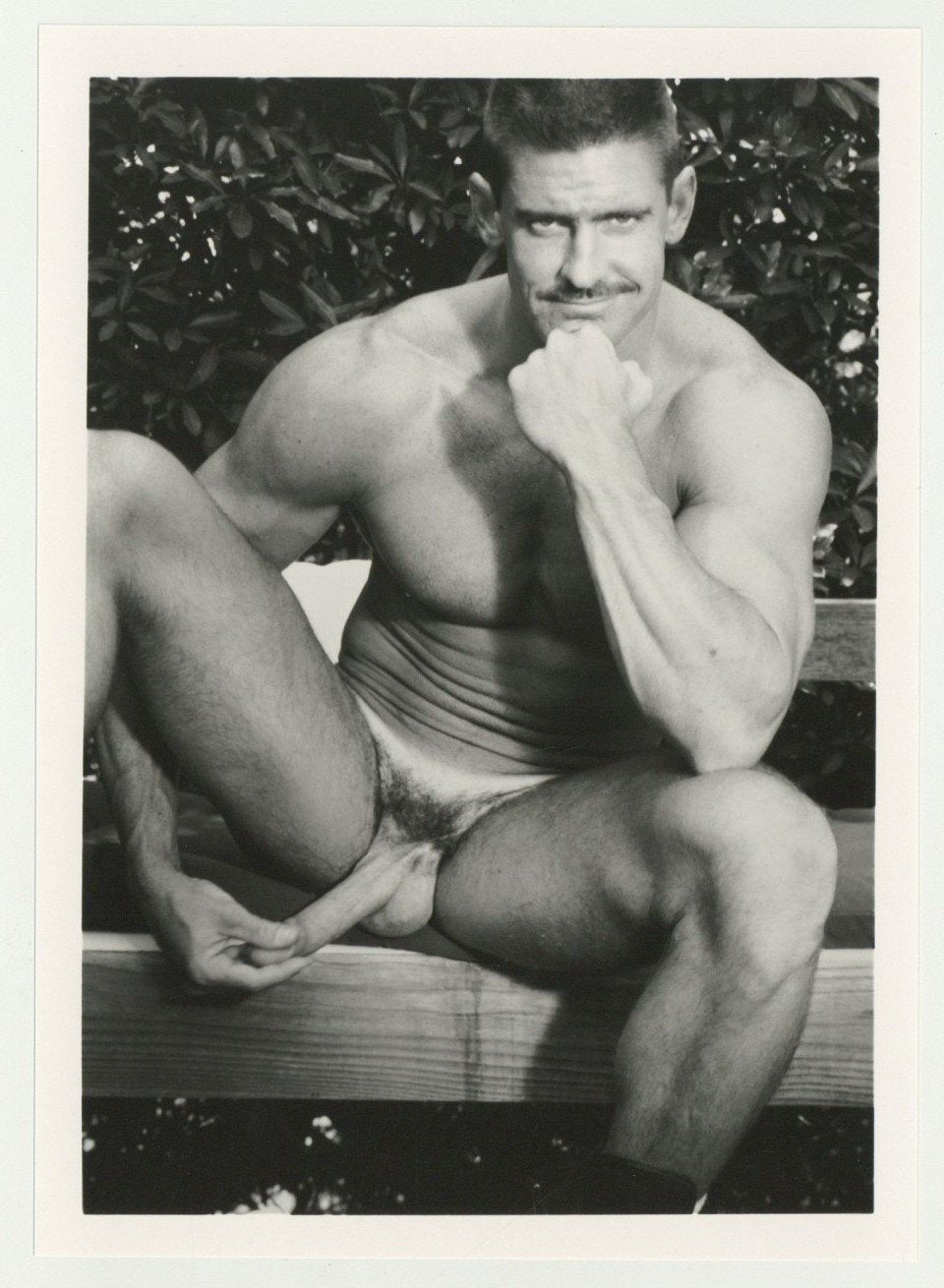 Jock Peterman 1994 Colt Studio 5x7 Flirty Smiling Moustache Beefcake Jim French Gay Nude Photo J10798