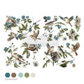Decor Transfers® – Aviary Elegance