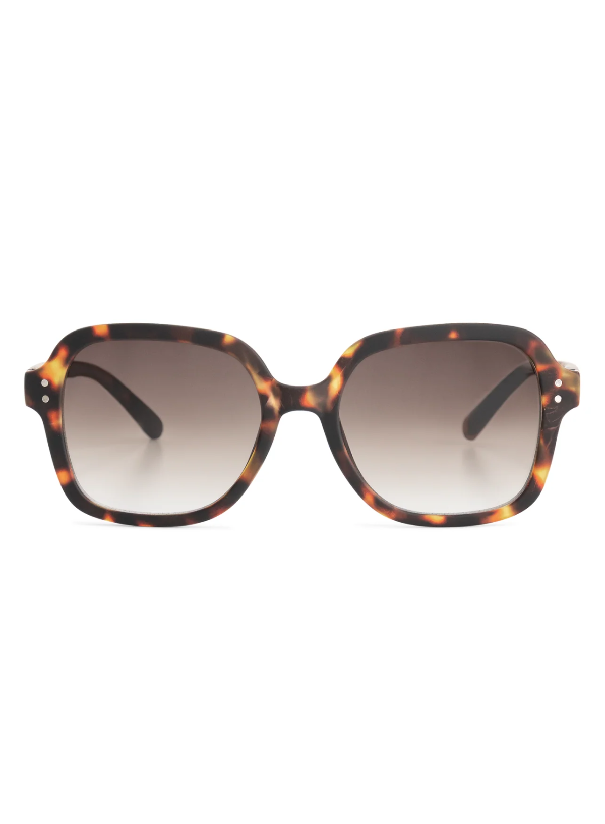 Looplabb Colette Reading Sun Glasses in Turtle