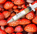 Amanita Muscaria (Fly Agaric) Liquid Culture Syringe (10cc)