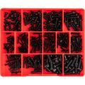 Champion 300pc Metric Black Machine Screw Assortment