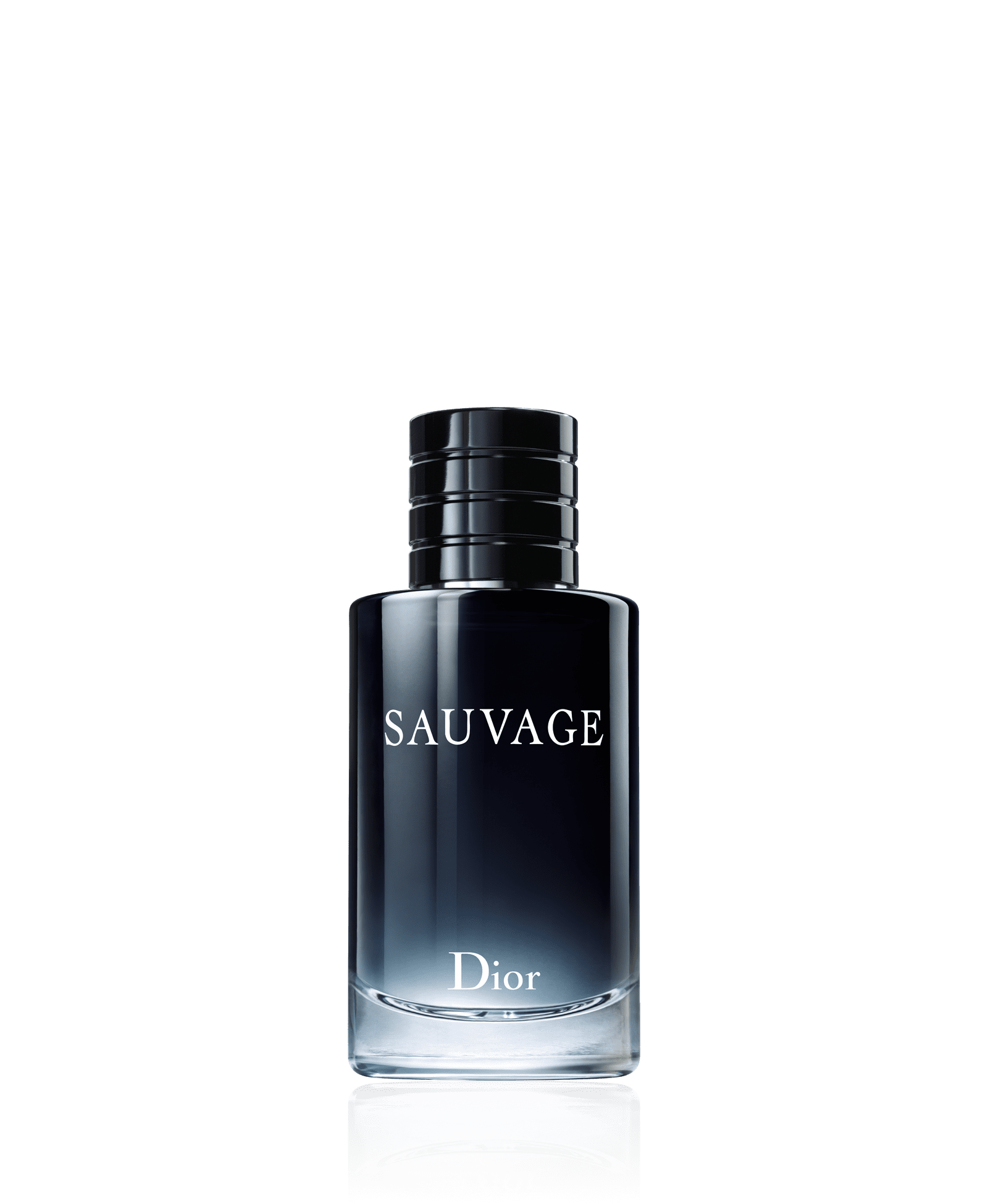 Sauvage - Dior (Eau de parfum 100ml)