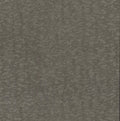 Antonina Vella Dazzling Dimensions Weathered Cypress Wallpaper - Silver