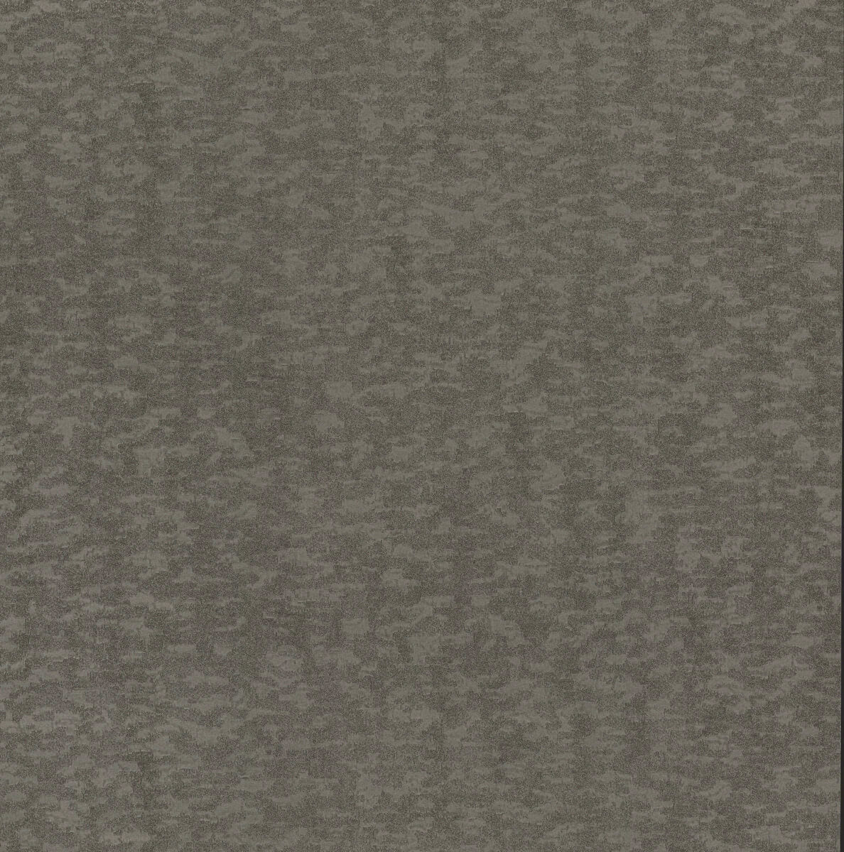Antonina Vella Dazzling Dimensions Weathered Cypress Wallpaper - Silver