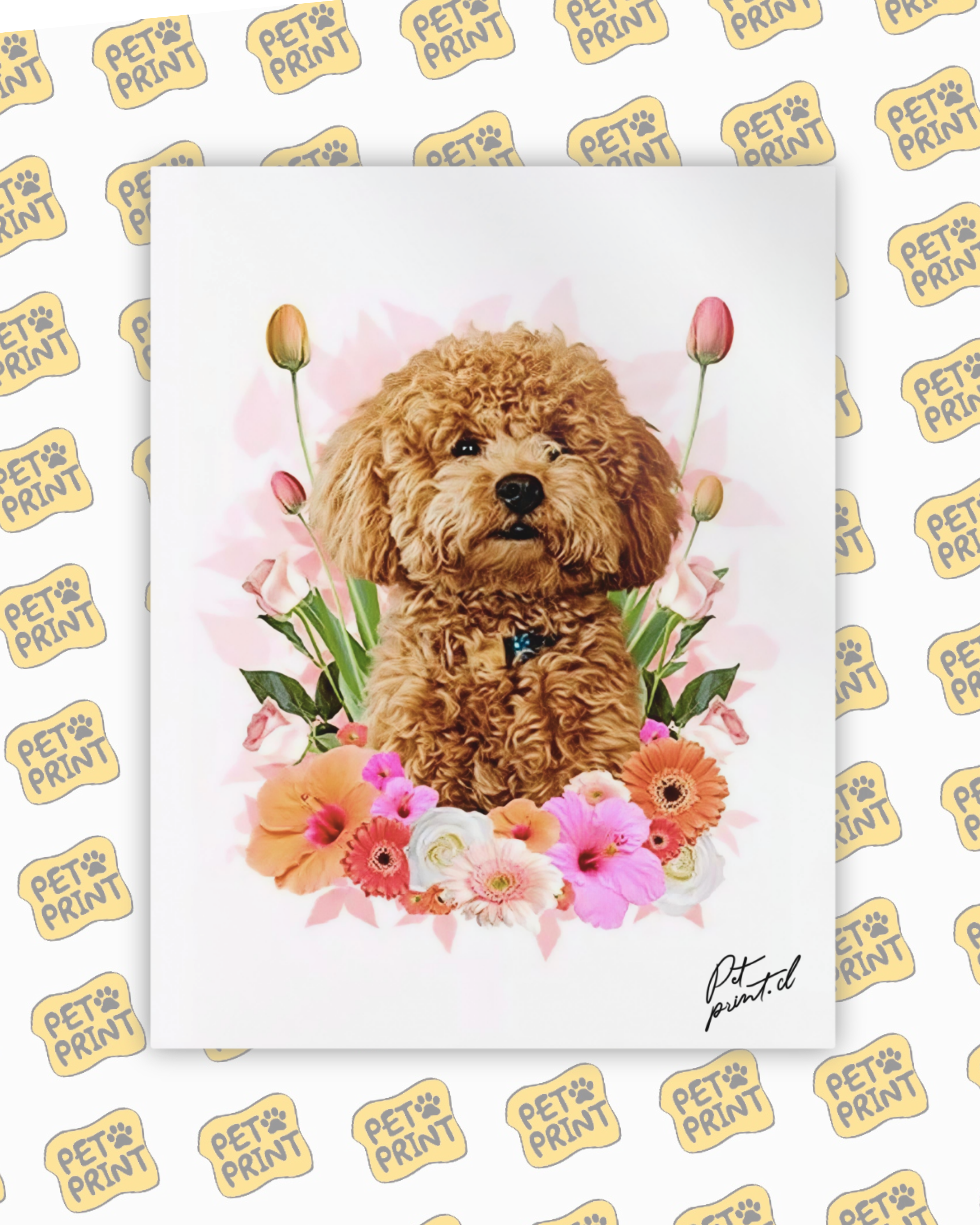 Cuadro Canvas - Floreado en Rosado