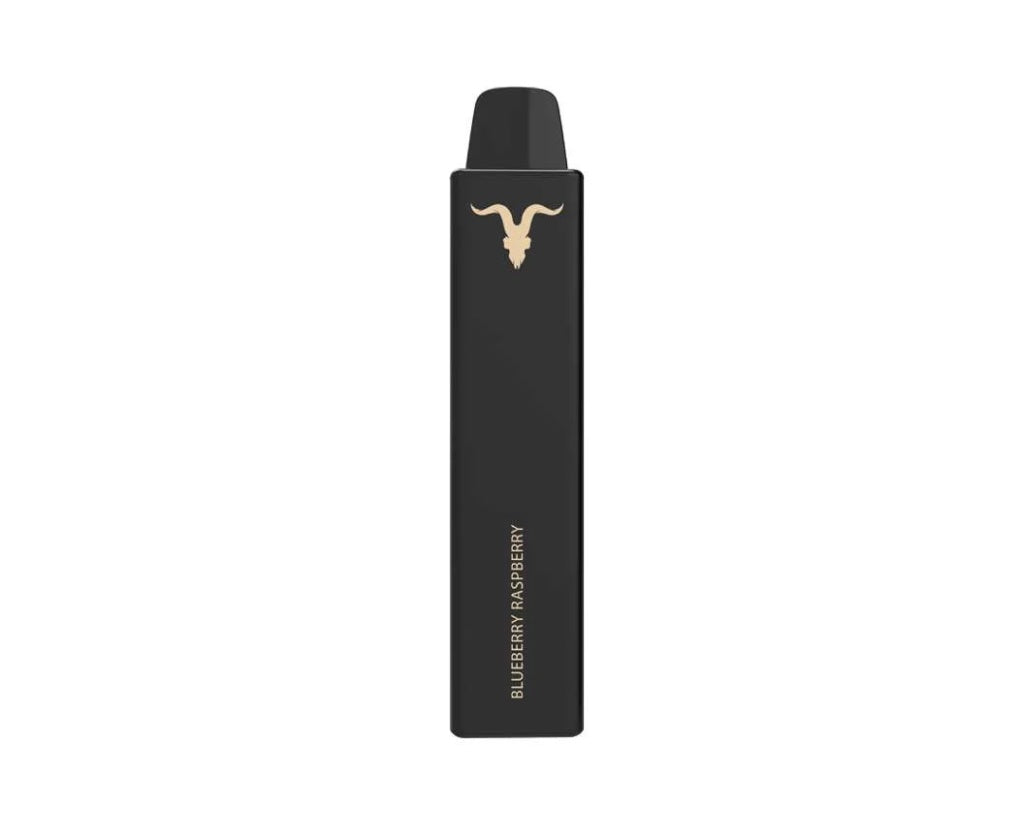 Ignite V Nano | Blueberry Raspberry (Arándano y Frambuesa)