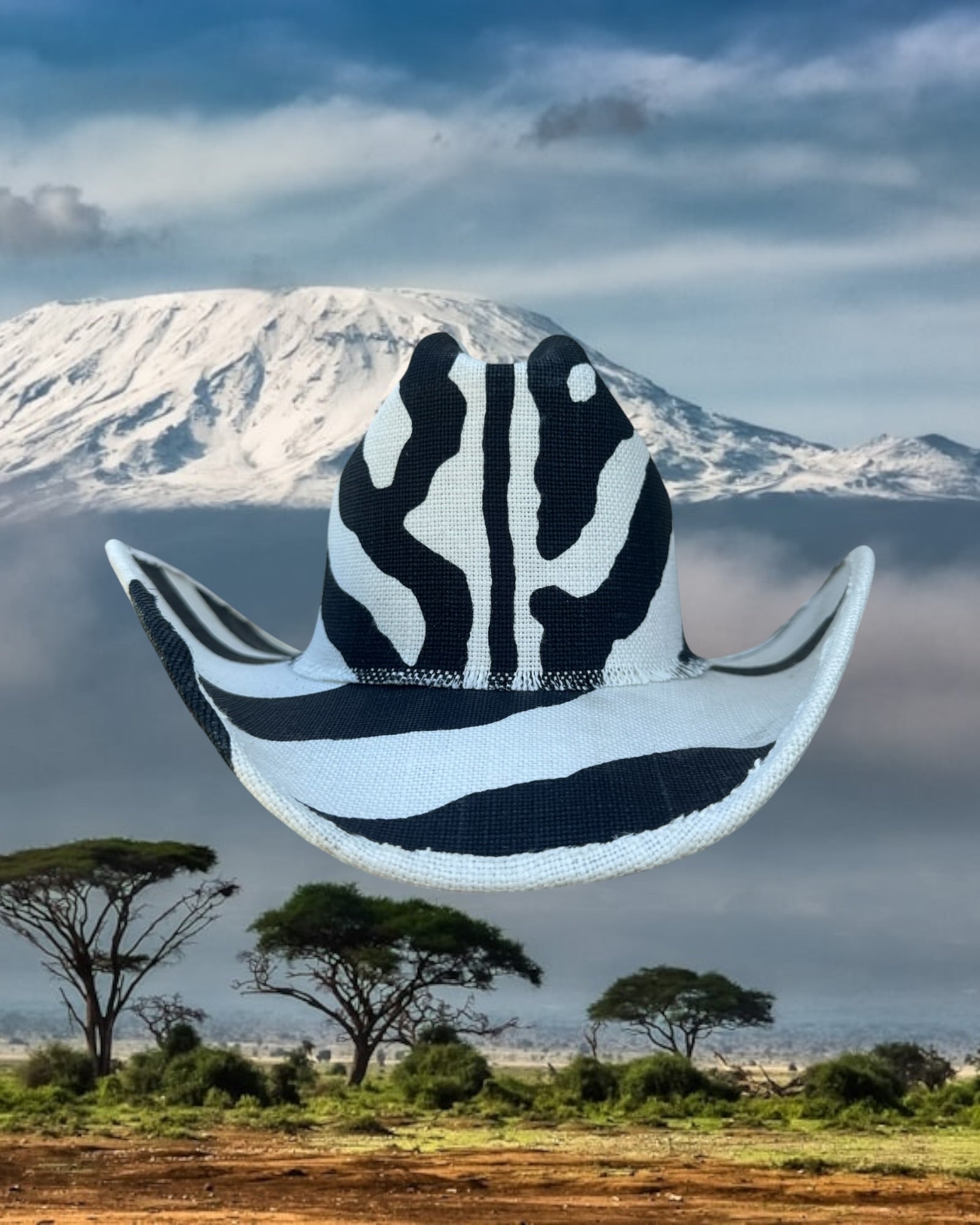 Zebra Line