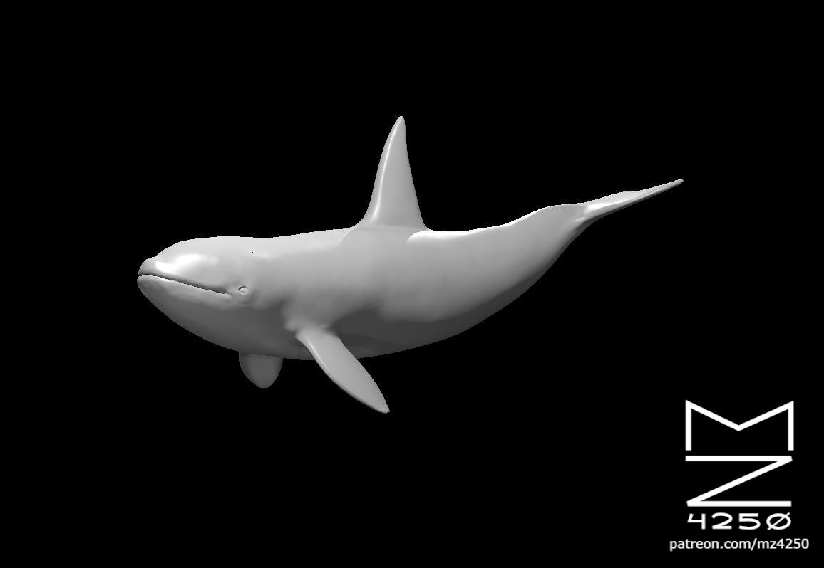 Dungeons & Dragons Killer Whale Miniature