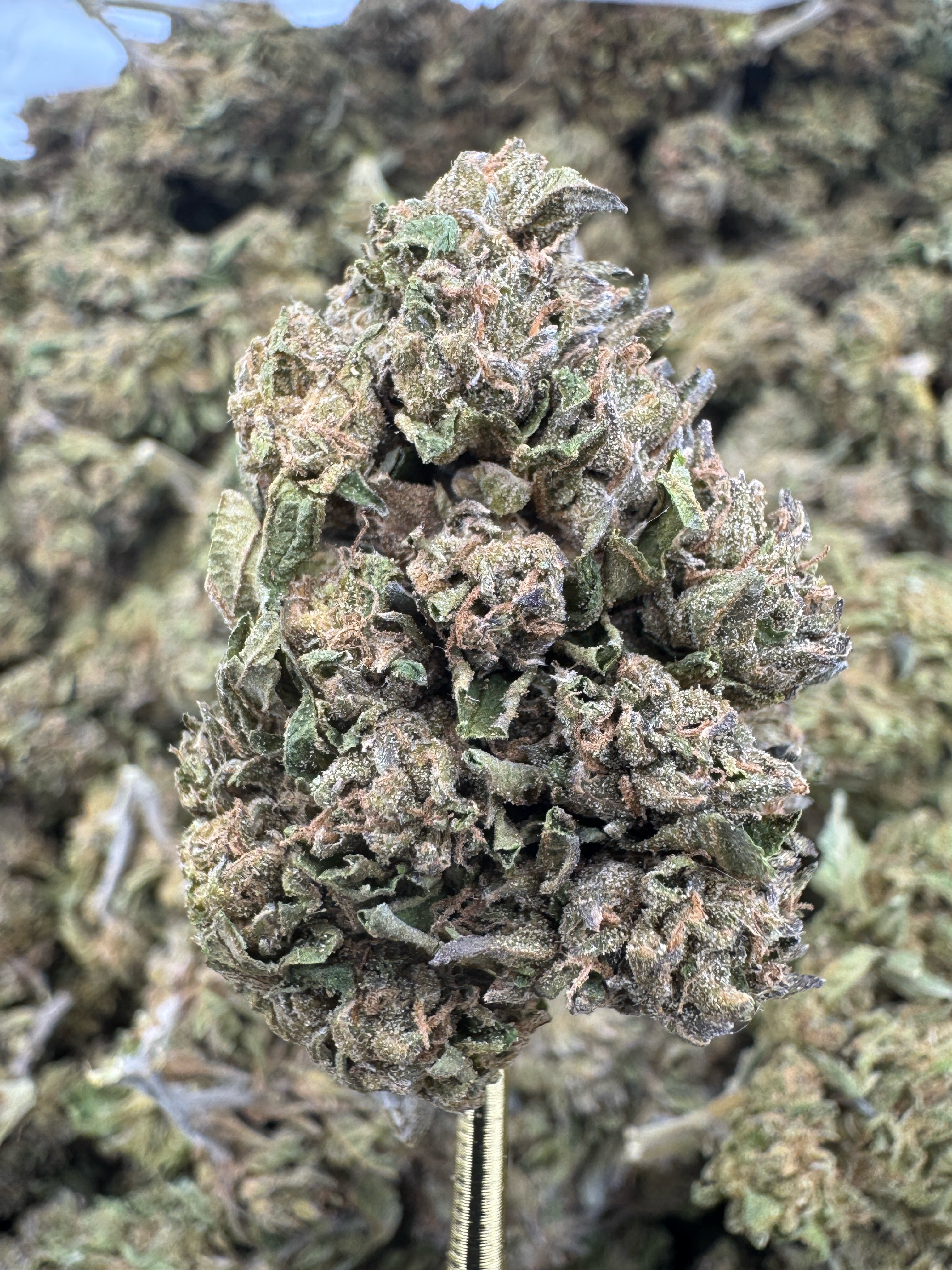 Lambs Breath - THCA Flower - Sungrown Top Cut