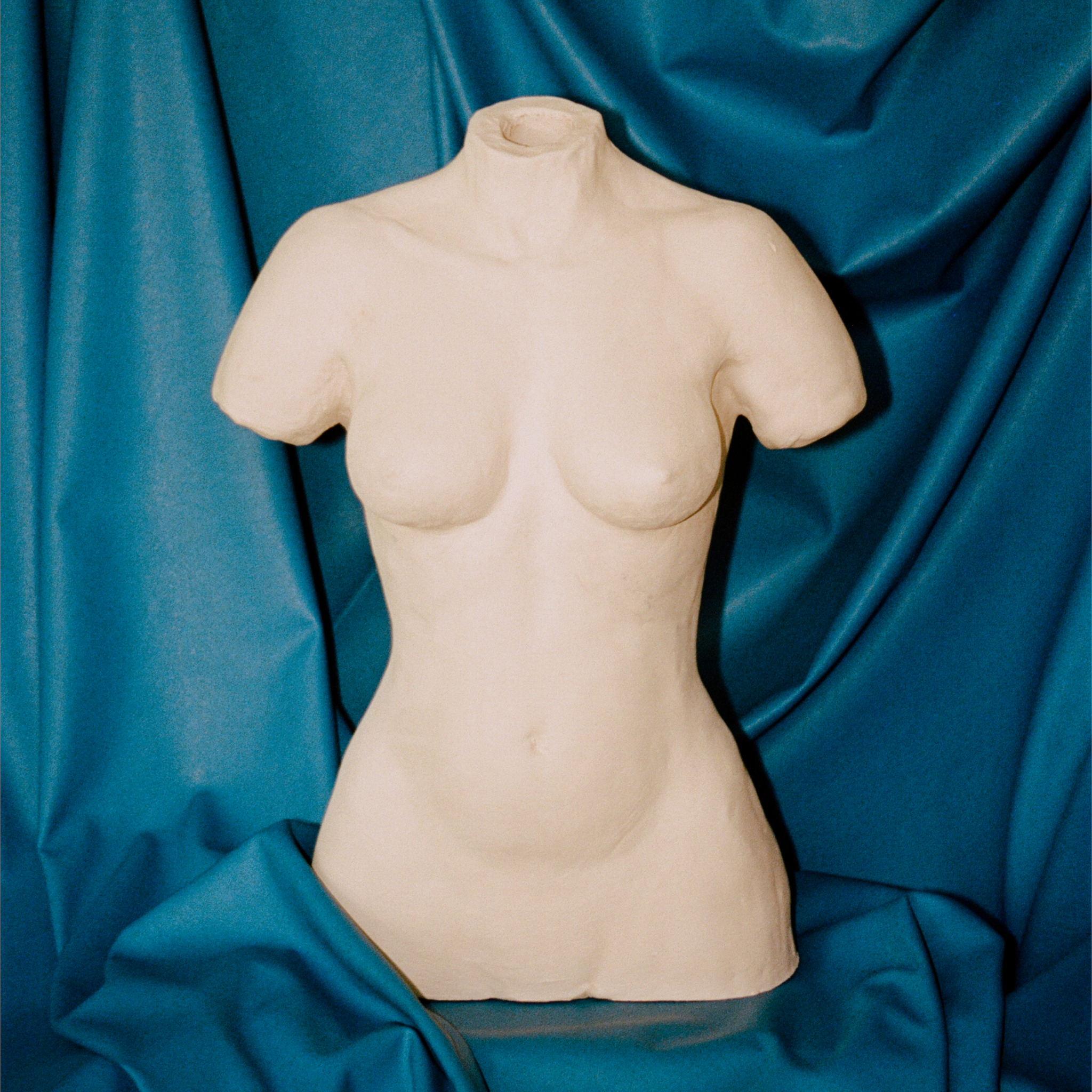 LARGE TORSO