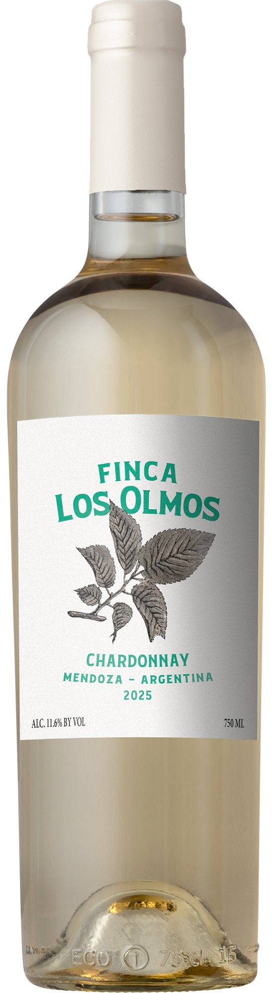 2025 Finca Los Olmos Chardonnay