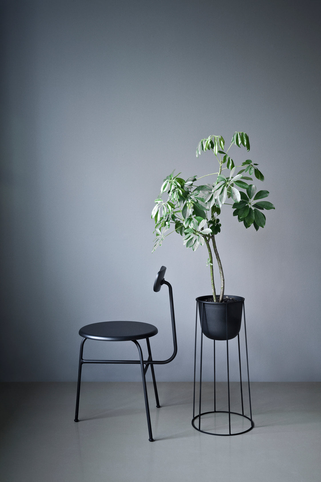 Menu 'Wire' Pot & Stand set (empty) | Showroom Sale