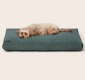 Snooza Modern Daybed - Forest Green - Medium/Large