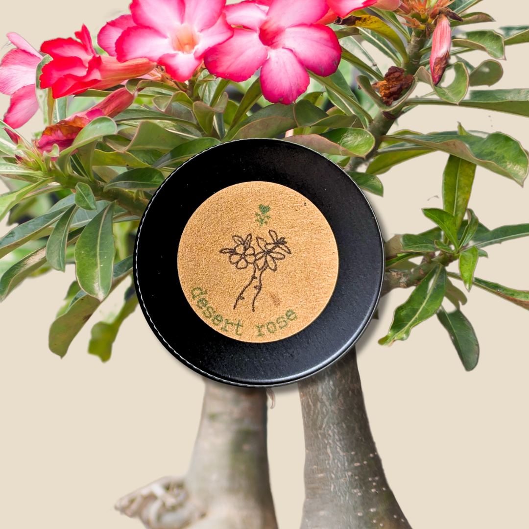 Adenium Obesum 'Desert Rose' Seeds - Plantflix