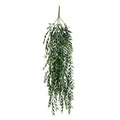 Salix Leaf