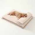 Calming Dog Bed - CozyCalm Deep Sleep-Beige-S-Nora Luxe