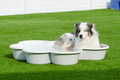 Two QTY Paw Pool™️Package by One Dog One Bone™️