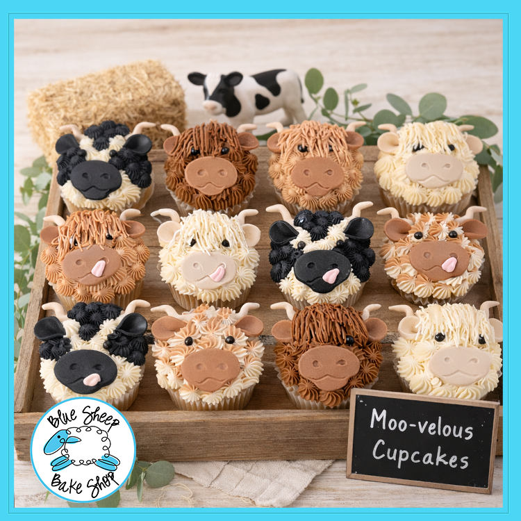 highland cow farm cupcakes somerville nj