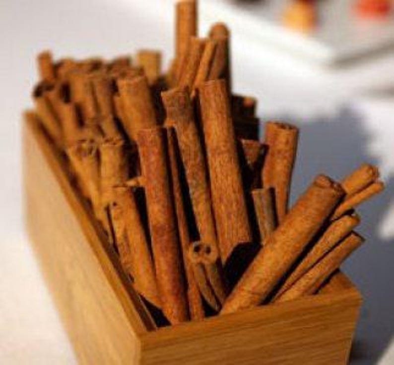 Cinnamon Tree Plant - 1 to 2 Feet Tall - Cinnamomum verum - Ship in 3 Gal Pot - Aromatic Evergreen Shrub for Culinary Use