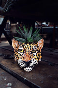 Leopard Lesley Wall Sconce