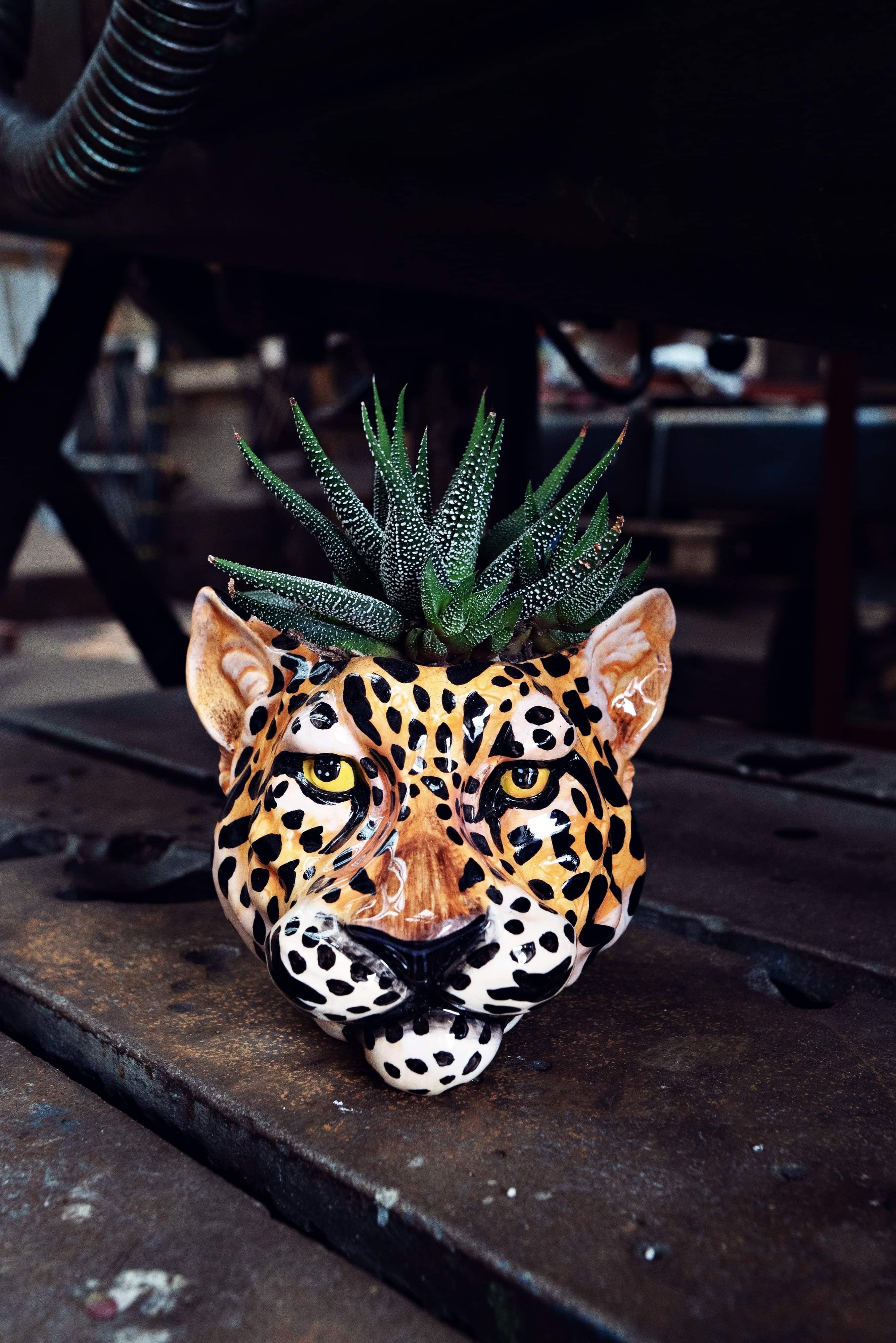Leopard Lesley Wall Sconce