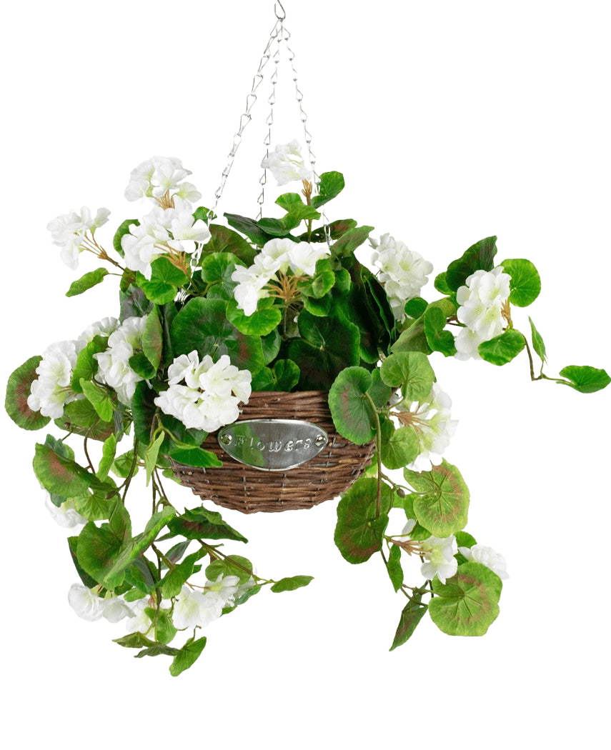 De Kunst begonia Wit in Mand UV 70cm heeft groene bladeren en witte begonia bloemen in een rieten mand met een metalen ketting, tegen een effen witte achtergrond.