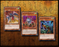 Ultimate Insect