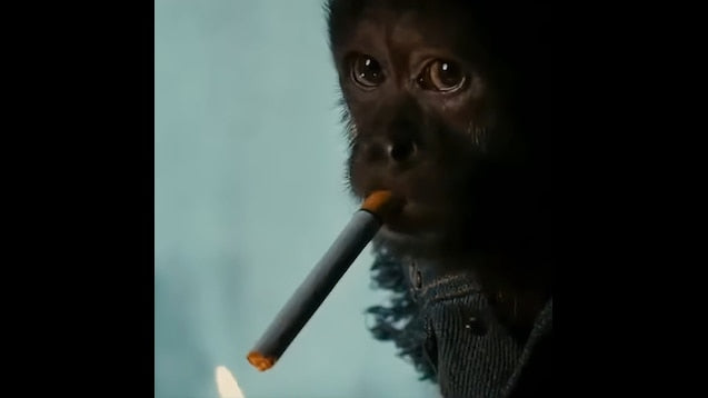 Steam Workshop::monkey smoking the hangover 2